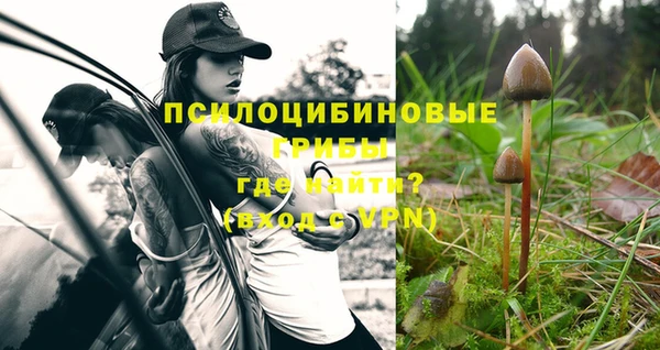 mdpv Абдулино