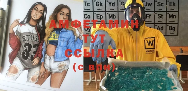 мет Алексин