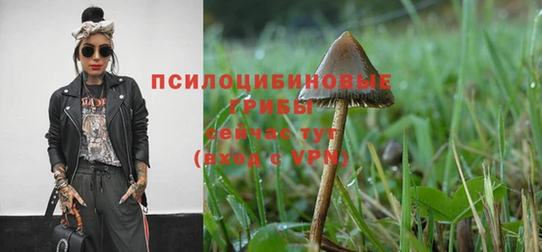 прущие крисы Абинск