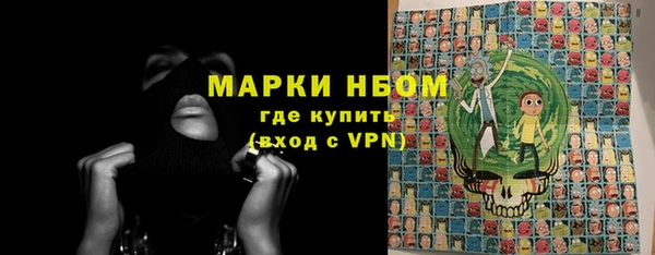 мет Алексин