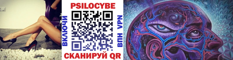 ОМГ ОМГ как войти  Ростов-на-Дону  даркнет клад  Галлюциногенные грибы Psilocybine cubensis 